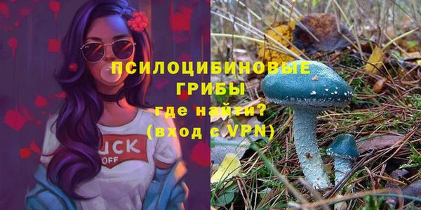 PSILOCYBIN Аркадак
