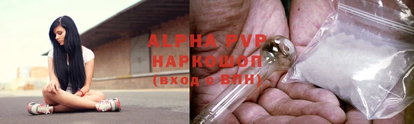 PSILOCYBIN Аркадак