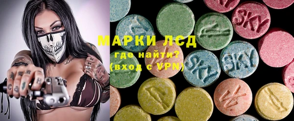 PSILOCYBIN Аркадак