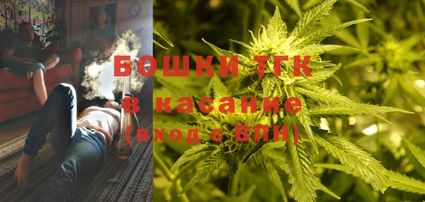 PSILOCYBIN Аркадак