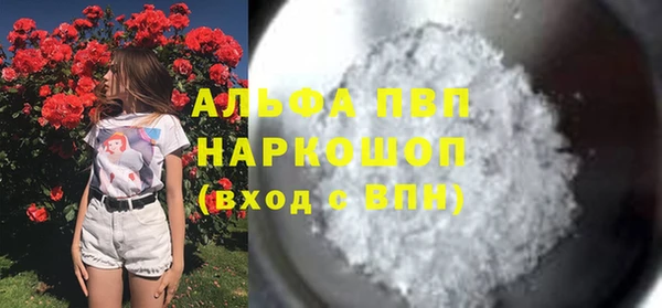 PSILOCYBIN Аркадак