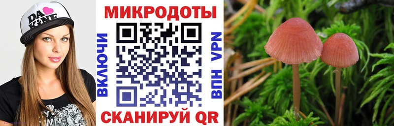 Псилоцибиновые грибы Magic Shrooms  mega ссылка  Бодайбо  продажа наркотиков 